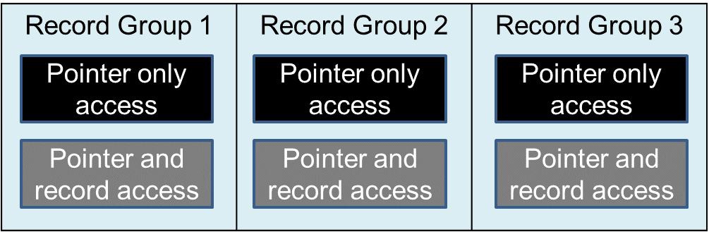 Three Record Groups, each of which contains one RBAC code for pointer-only access and another for pointer-and-record access
